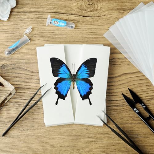 Image of 20 Pieces Insect Pinning Kit, Bug Pinning Kit for Science Classroom Science Education
