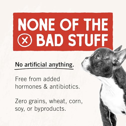 Stella & Chewy's Freeze-Dried Raw Chicken Heart Dog Treats - Single Ingredient, No Additives - Premium Training Treats - Perfect For Picky Eaters - 11oz Bag - Image 5