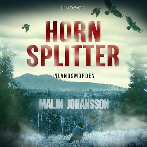 Hornsplitter (Swedish Edition) Audiolibro Por Malin Johansson arte de portada
