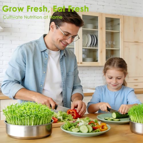 FANHAO 2 Pack Stainless Steel Seed Sprouter Trays, Food-Grade Microgreens Growing Tray, Soil-Free Cultivation Germination Tray for Indoor or Outdoor Sprouting Seeds, Grow Grass, Beans (Without Lids) by FANHAO - Image 2