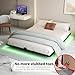 FSJianYi Queen Floating Bed Frame with LED Lights - Modern Metal Platform Bed Frame - Noise Free No Box Spring Needed and Easy Assembly,60W x 80L in