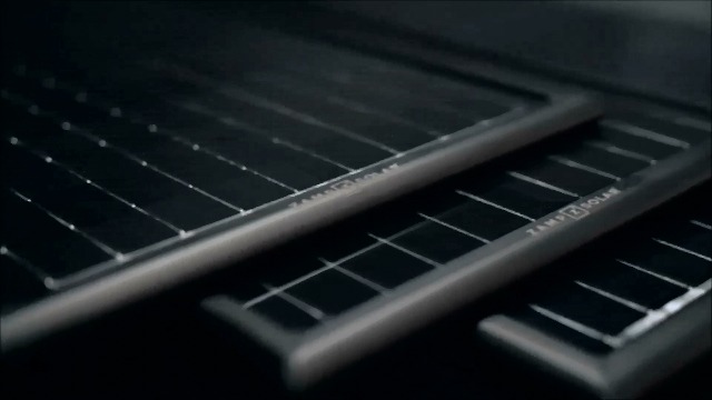 P.solar eclipse OC子株 P solar eclipse OC子株｜Yahoo!フリマ（旧