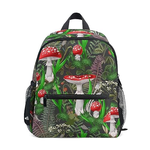 [SUKAU] bN LbY LmR [t bNTbN  ̎q j̎q  y ʉ ct ۈ牀 w  s