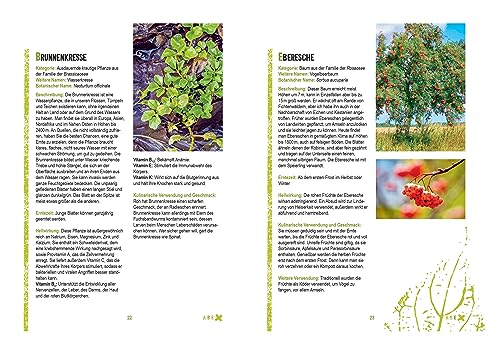 Survivalpflanzen. Die 100 wichtigsten Pflanzen zum Überleben in der Wildnis: Das Survival Handbuch für Heilmittel, Nahrungsmittel, zum Hütten-/Lagerbau und viele andere Einsatzmöglichkeiten