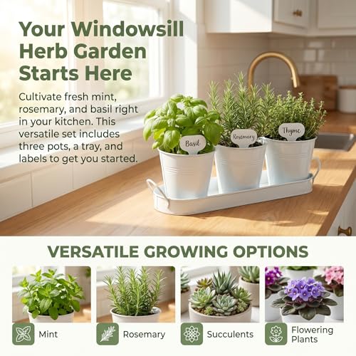 Image of Hiceeden Set of 3 Herb Garden Planter with Labels, Indoor Herb Pots with Drainage Holes, Metal Herb Garden Set with Tray for Windowsill or Countertop, White
