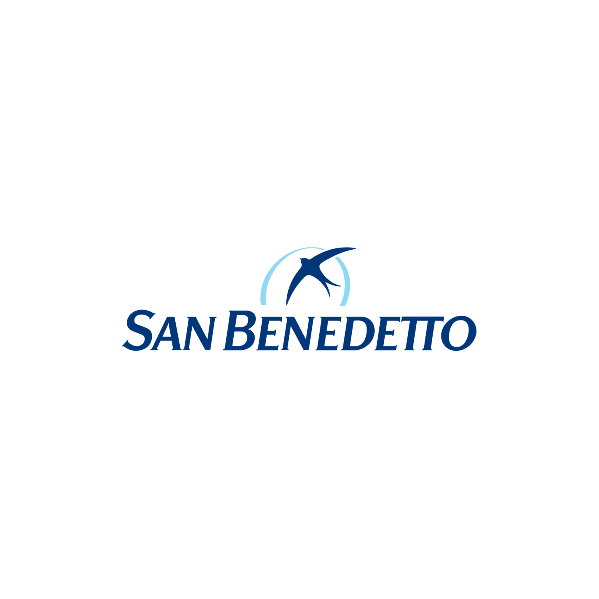 Acqua San Benedetto Frizzante Antica Fonte della Salute | Premium Water | Confezione da 24 Bottiglie in Vetro da 330ml