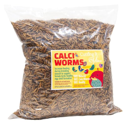 Dried Calciworms for garden birds Calci worms for wild birds (5L refill bag - 800g) Bird food