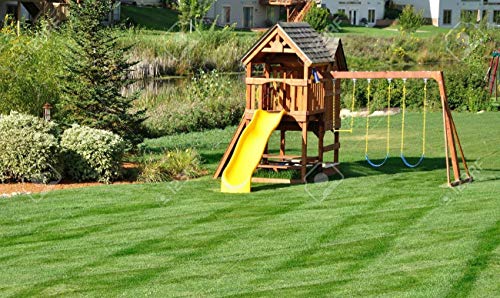 Risala 20 kg or 25kg Premium Hard Wearing Tough Back Lawn Grass Seed Pets 20kg 25 kg