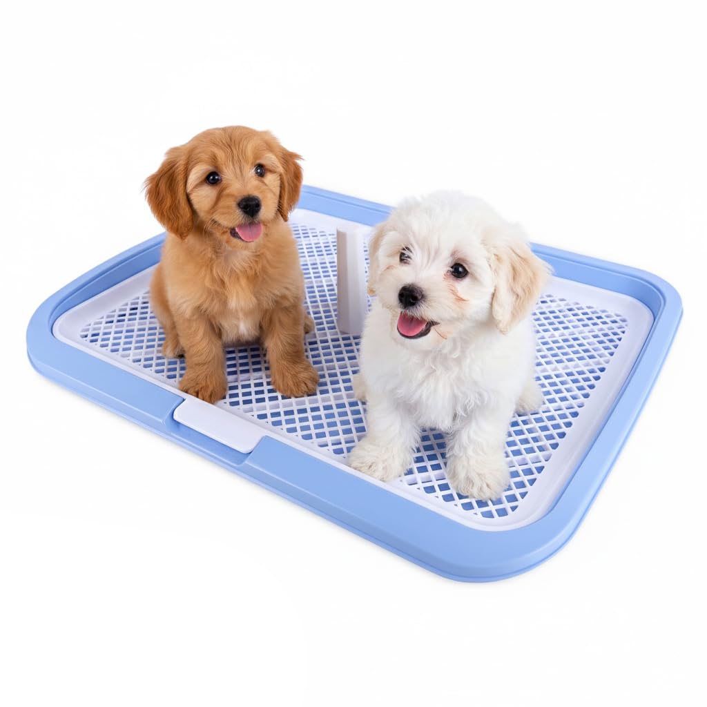 HASTHIP® Dog Toilet, Plastic Poop Tray Puppy Pee Pads, Potty Training Deck for Small Medium Dogs, Drawer Flat Panel & Easy to Clean - 65 x 50CM