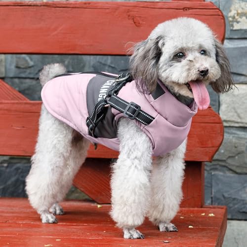 Oslueidy Hunde Winterjacken,Warme Hundemäntel Reflektierend Hundekleidung wasserdichte Welpenweste für kaltes Wetter mit Hundegeschirr für kleine mittelgroße Hunde