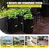 VEVOR DWC Hydroponic System, 5 Gallon 4 Buckets, Deep Water Culture Growing Bucket, Hydroponics Grow Kit with Pump, Air Stone and Water Level Device, for Indoor/Outdoor Leafy Vegetables #1