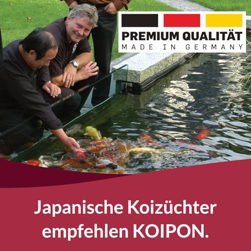 KOIPON Seidenraupen 1,5 kg getrocknet, Naturfutter ergänzend zu Koifutter für japanische Koi & Goldfische, Fischfutter, Leckerli zur Handfütterung