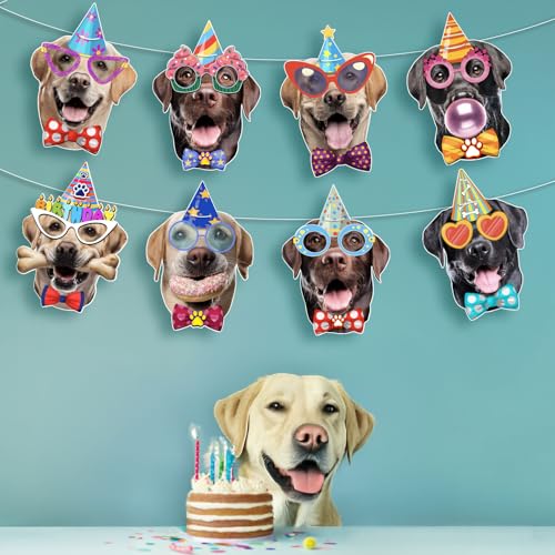 Image of Labrador Dog Birthday Garland, Photographic Labrador Retriever Faces Birthday Banner, Funny Labrador Dog Bday Party Bunting Decoration