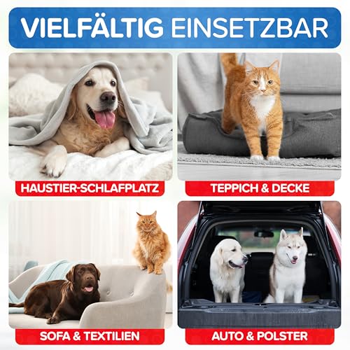 Patronus Floh-Spray für Wohnung & Umgebung 500 ml - effektives Abwehr-Mittel gegen Flöhe mit Sofortschutz - hochwirksam & laborgeprüft - mit dezentem Eukalyptus-Zitrusduft