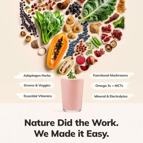 Image of Ka'Chava Whole Body Meal Shake Coconut Acai 2 lb - Vegan Protein Powder with 85+ Superfoods & Greens - Plant-Based Meal Replacement - Probiotics & Digestive Enzymes - Gluten & Dairy Free (15 Servings)