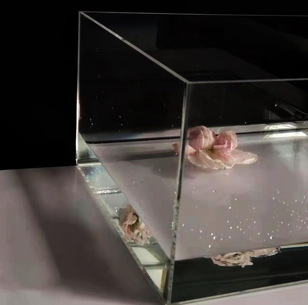 アクリル写真トレイ 撮影用トレイ 撮影小道具 ディスプレイトレイ ショーケース 透明 高透過 家電 カメラ ジュエリー 化粧品 商品