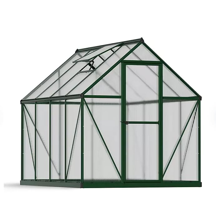 Interior view of the 6x8 ft greenhouse with various plants and shelving.