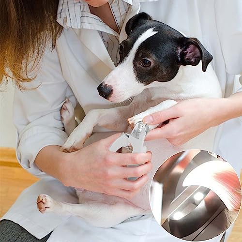 Haustier Nagelknipser mit LED-Licht, hunde krallenschere Krallenschneider, Nagelfeile Krallenpflege für Mittlere & Kleine Hunde und Katzen, Professionelle Nagelschneider Scharfe Klinge Sicheres
