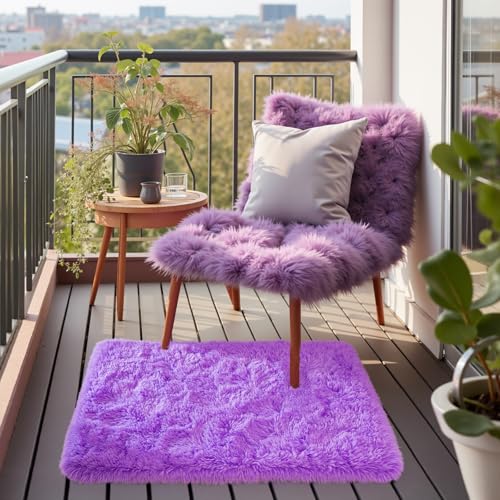 Purple Area Rugs for Bedroom Living Room, 2x3 Soft Fluffy Fuzzy Shag Plush Furry Carpet, Large Indoor Floor Mat for Kids Nursery Home Dorm Office Decor Aesthetic