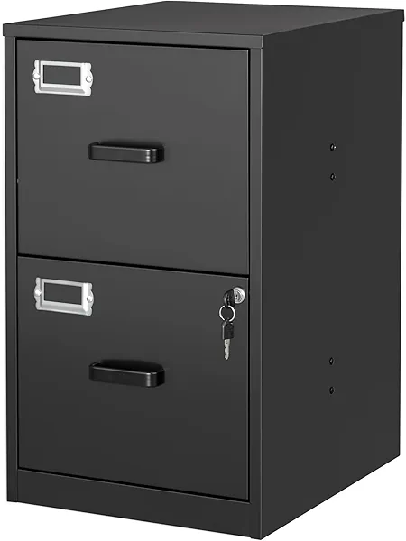 BYNSOE 2 Drawer File Cabinet with Lock Vertical Filing Storage Cabinet Office Home Steel Vertical File Cabinets for Letter Size File Cabinet Locked,Assembly Required