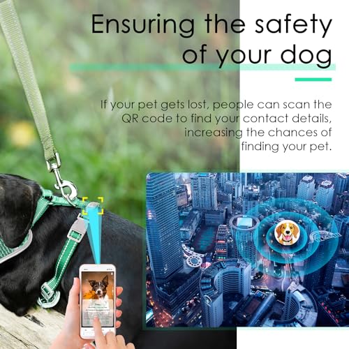 ThinkPet Hundemarke, reflektierend, atmungsaktiv, weiches Air-Mesh mit QR-Code, Erstickungsfrei, für Welpen, kleine, mittelgroße Hunde und Katzen, klein, blaugrün