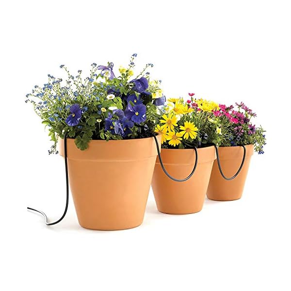 Raindrip R560DP Automatic Drip Irrigation Watering Kit with Timer for Containers and Hanging