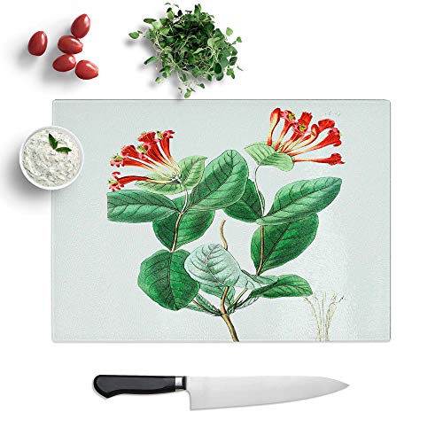 How to take honeysuckle cuttings How to take honeysuckle cuttings