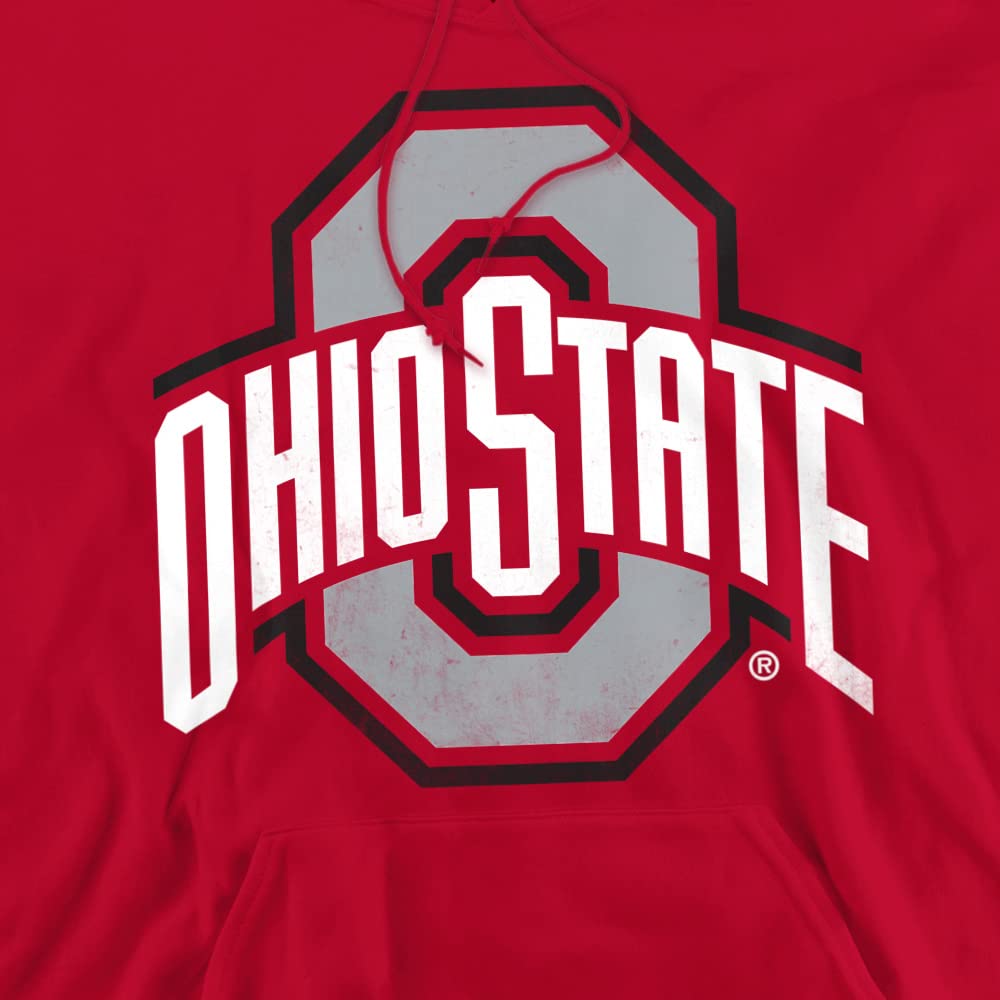 LOGOVISION Official Collegiate Distressed Primary Logo Adult Pullover Hoodie Collection — view 2