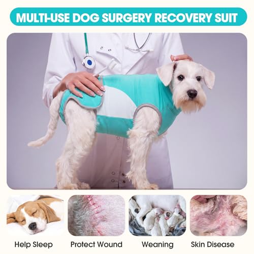 Image of IDOMIK Dog Surgery Recovery Suit for Spay Neuter, E-Collar Cone Alternative | Easy to Wear, Breathable & Protective, Adjustable Dog Onesie for Small Medium Large Dogs, Anti Licking Abdominal Wounds
