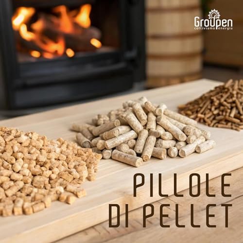 Page de couverture de Pizza e pane in forno a pellet: gourmet e sostenibile