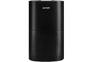 Powerful PuroAir Air Purifier for Homes
