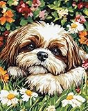 AMBATTERY Diy Knüpfen Set Shih Tzu Tiere Und Blumen Tapisserie Teppich Knüpf-Sets Kreuzstich Kit Knüpfen Set Für Erwachsene Diy Handwerk Geschenke Fußabtreter 23x35in