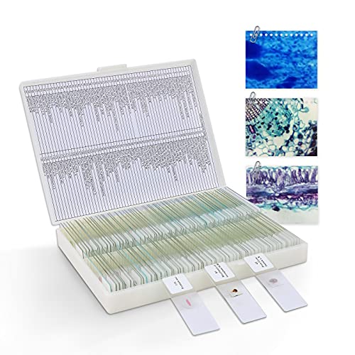 120 Vorbereitetes Mikroskop-Objektträger-Set, Mikroskop-Glasdias mit Tier- und Pflanzenpräparaten, für Kinder und Schüler der naturwissenschaftlichen Aufklärung Cover