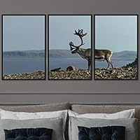 3 Piece Framed Canvas Wall Art Spiritual Being Animals Deer Expressive Impressionism Rustic - 16