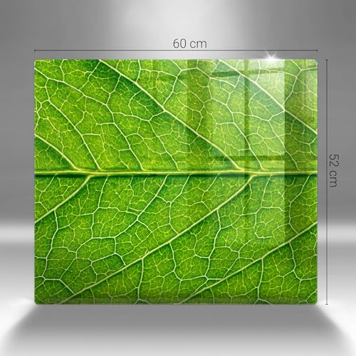 Protection plaque induction anti-rayure 60x52 cm en verre