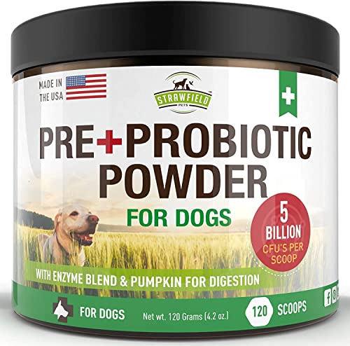 Strawfield Pets | Probiotics for Dogs | Probiotics for Gut Flora, Digestive Health, Occasional Diarrhea & Bowel Support | Dog Probiotic Powder Supplement | 120 Grams 5 Billion CFU | Beef Flavor, USA