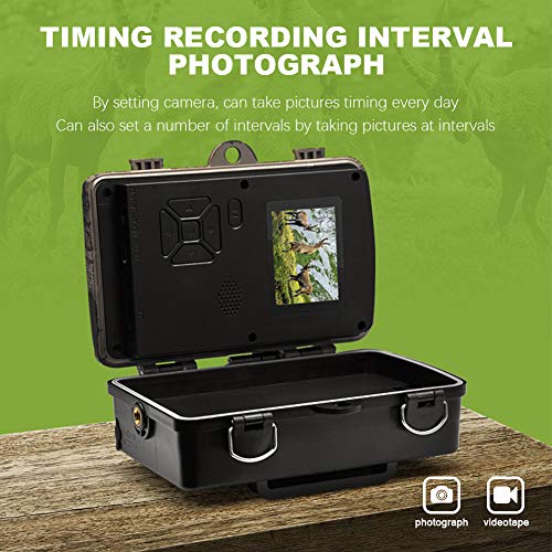 Shipenophy Câmera de caça, à prova d'água, antiferrugem, de alta definição, à prova d'água, modo d