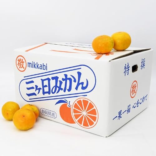 ܂h OR_ O݂ MTCY ԏGi 13 pbN