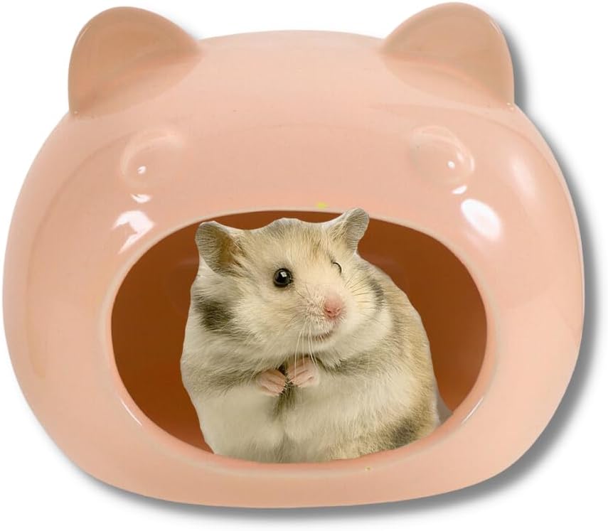 Ceramic House for Hamster, Gerbils & Other Small Size Pets | Adorable Cartoon Shape Pet Hideout with Cooling Effect | Pet Cage Decor Ceramic House Miniature (Orange Peach (Ceramic)