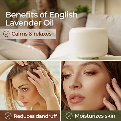 Gya Labs Pure English Lavender Oil Essential Oil For Diffuser- 100% Natural Therapeutic Grade Lavender Oil Essential Oils For Skin - Lavender Essential Oil For Hair Growth (0.34 Fl Oz) #TOP4