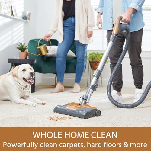 Image of Kenmore BC4040 400 Series Bagged Canister Vacuum Cleaner | Lightweight, 2-Motor System, HEPA Filter, Extended Reach, Auto Cord Rewind with Height Adjustment