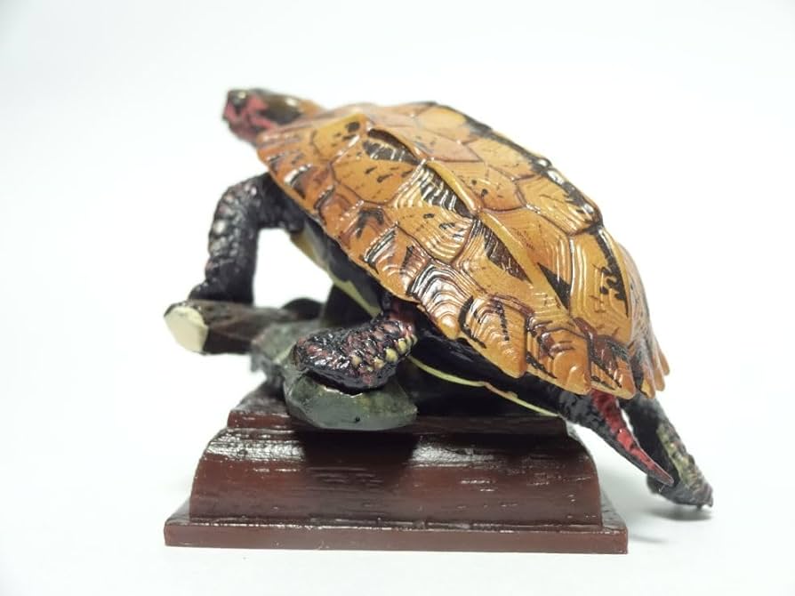 ネイチャーテクニカラー 日本のカメネイチャーテクニカラー Amazon | ネイチャーテクニカラー 日本 の カメ 特装版 × 全6種