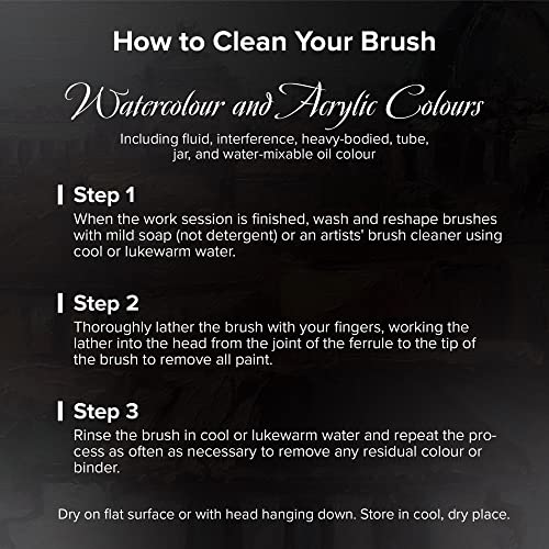 Silver Brush Limited Wc-3201S Black Velvet Basic Watercolor Set, Set Of 3 Brushes, Round Size 6, 12 And Square Wash Size 1 #TOP6