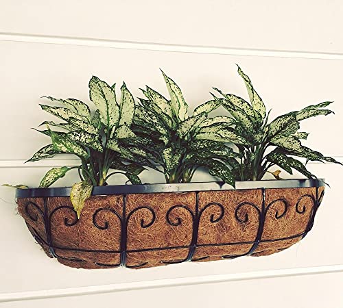 Holly Lifepro 36" Replacement Coco Fiber Liner, 2 Pcs Basket Liners For Planters, Natural Coconut Fiber For Window Box, Garden Flower Vegetables Pot For Hanging Basket #TOP5