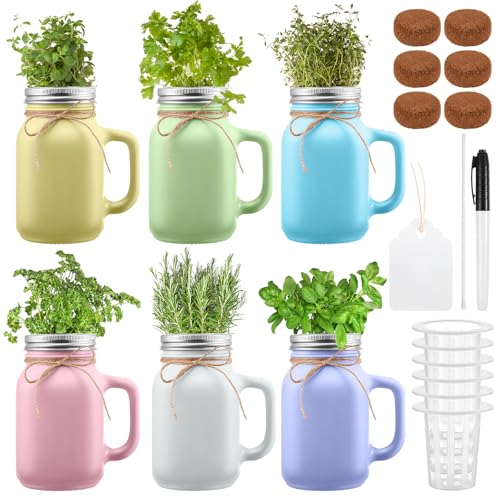 Vesici 6 Set Hydroponic Mason Garden Jar Kit Self Watering