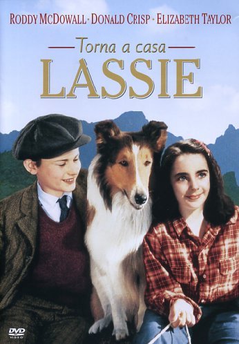 Torna a casa, Lassie!