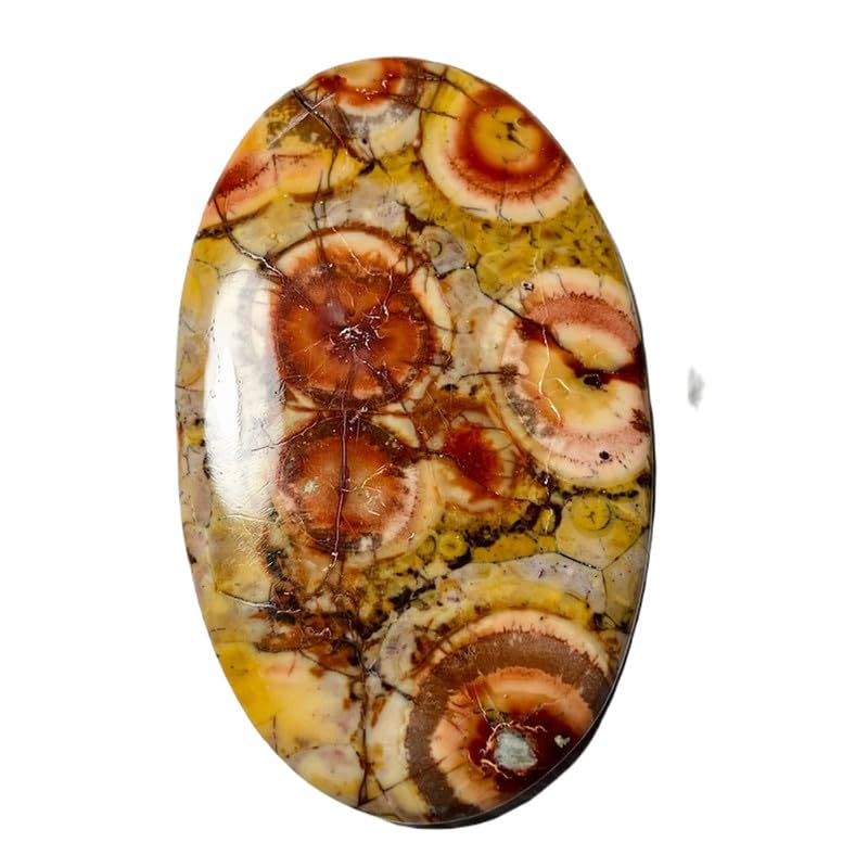 Jaspe œil d'oiseau pierre précieuse en vrac 58x35mm pour collier