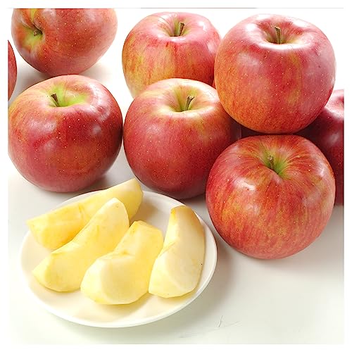 りんご 長野産 シナノスイート 10kg 1箱 国華園のサムネイル