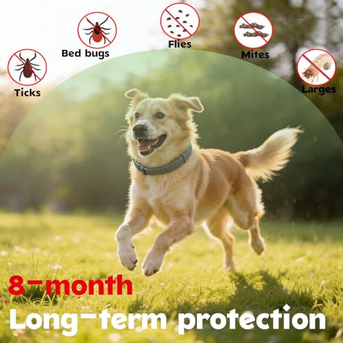 Zeckenhalsband für Hunde und Katzen,Flohhalsband Wasserdicht und Verstellbar,100% Natürliche Inhaltsstoffe,Bis zu 8 Monate Schutz Gegen Zecken und Flöhe Natürlichen Inhaltsstoffen