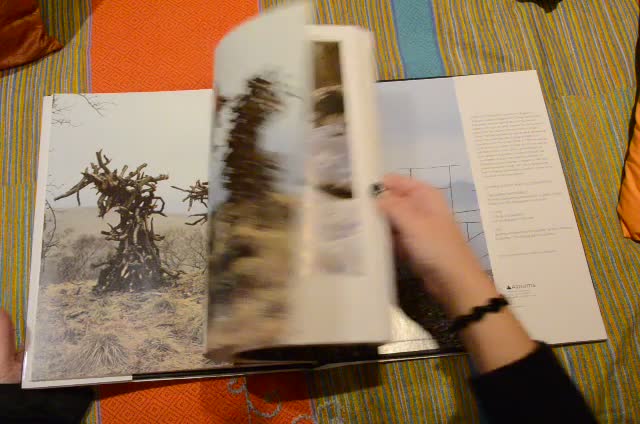 洋書 ANDY GOLDSWORTHY / A Collaboration Andy Goldsworthy: A Collaboration with Nature: Amazon.co.uk
